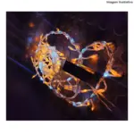 Festão Fio de Fada 28242 – 232 LEDs Warm Transparente 3m