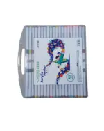 Kit 80 Canetinhas Acrílicas de Contorno SY0158-80 – Cores Vibrantes