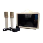 Caixa de Som Karaokê 80W PEI-VKS02 – Com Tela e LED Peining - Imagem 3